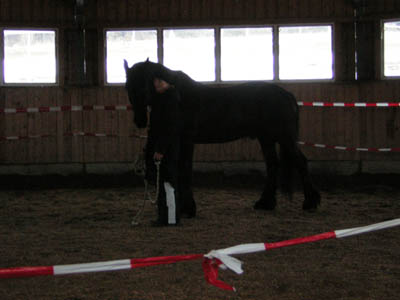 DSCN0512
