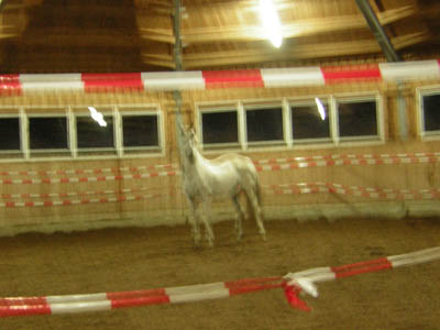 DSCN0527