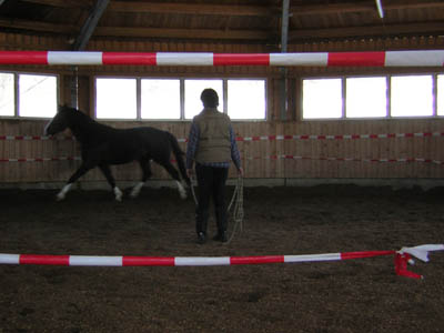 DSCN0537