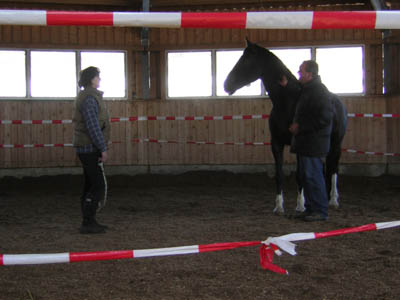 DSCN0544