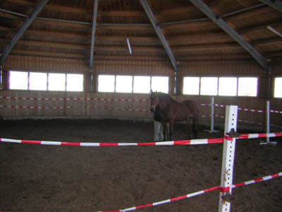 DSCN0548
