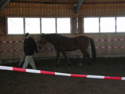 DSCN0556