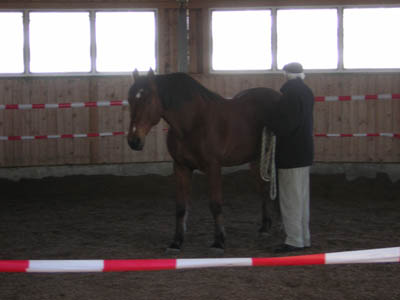 DSCN0575