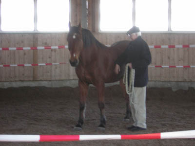 DSCN0576