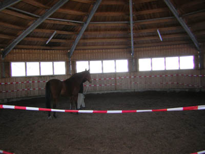 DSCN0581