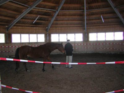 DSCN0583