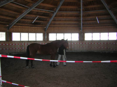 DSCN0584
