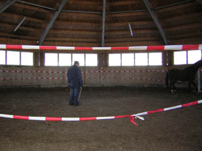 DSCN0593