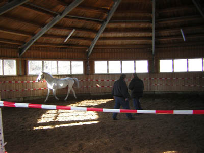 DSCN0624