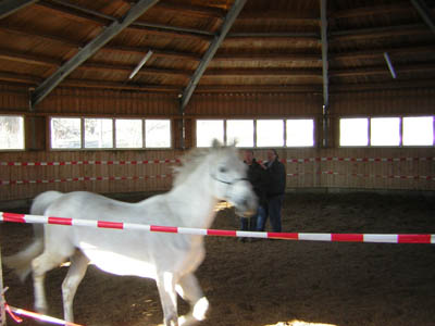 DSCN0625