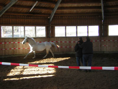 DSCN0629