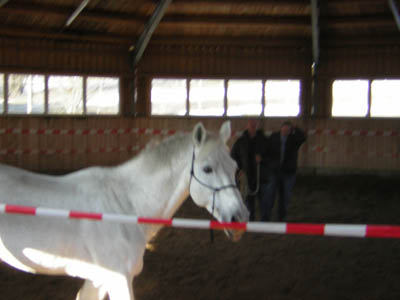 DSCN0630