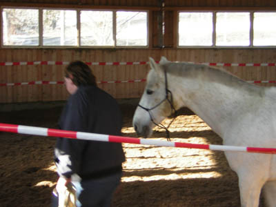 DSCN0635