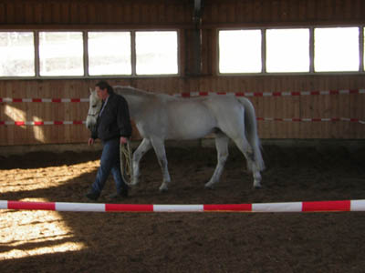 DSCN0639