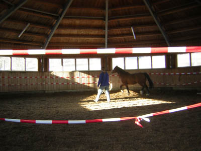 DSCN0644
