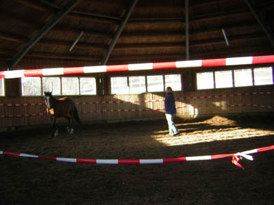 DSCN0645