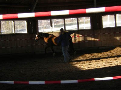 DSCN0647
