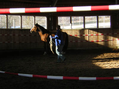 DSCN0651