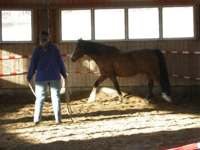DSCN0655