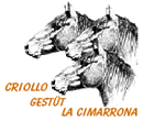 Criollo-Haflinger Gestüt
